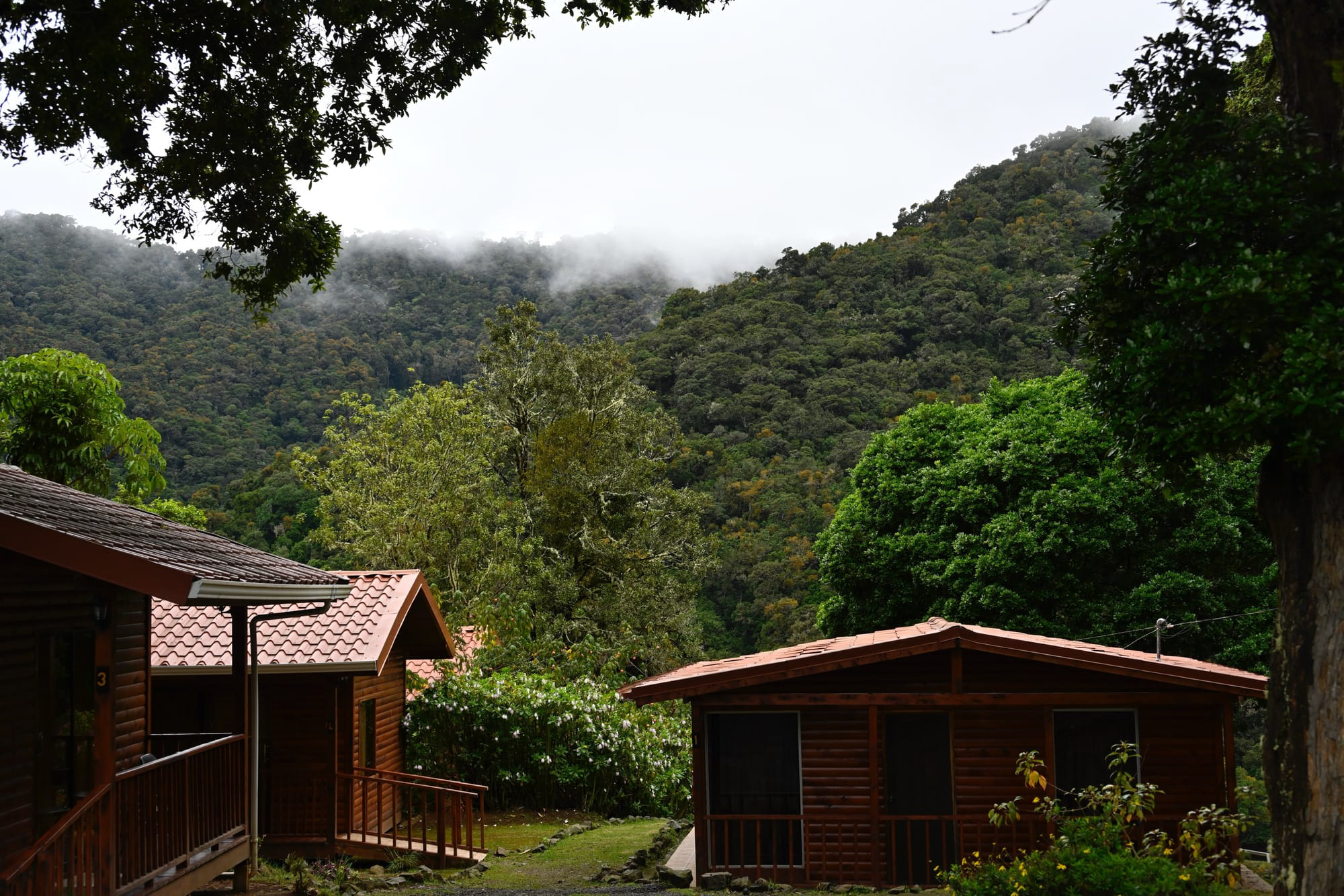 Wooden cabins surrounded by lush greenery and misty cloud forest in San Gerardo de Dota, Costa Rica.