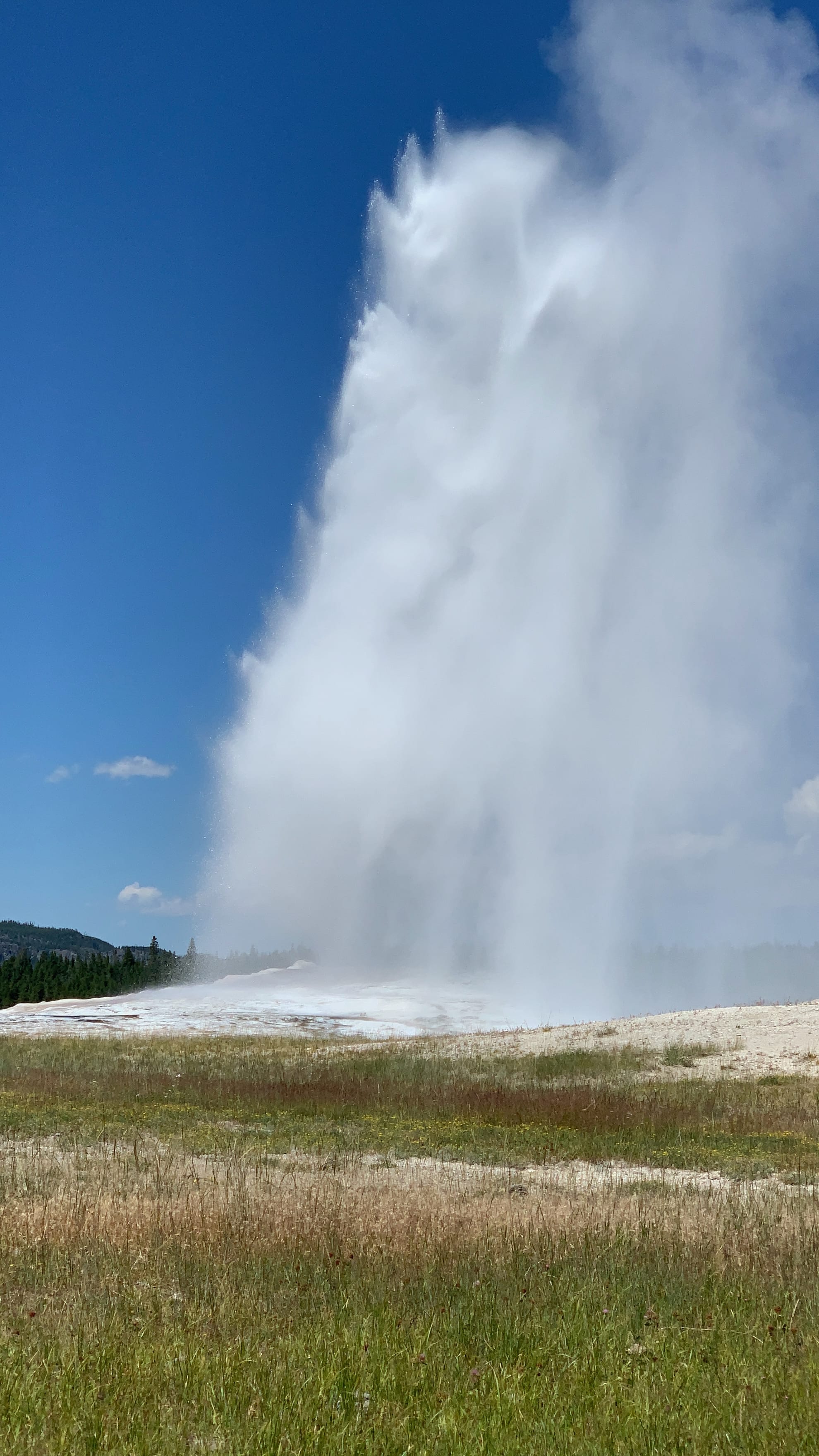 Eruption of Old Faithful geyser at Yellowstone National Park, with water shooting high into the air against a blue sky.