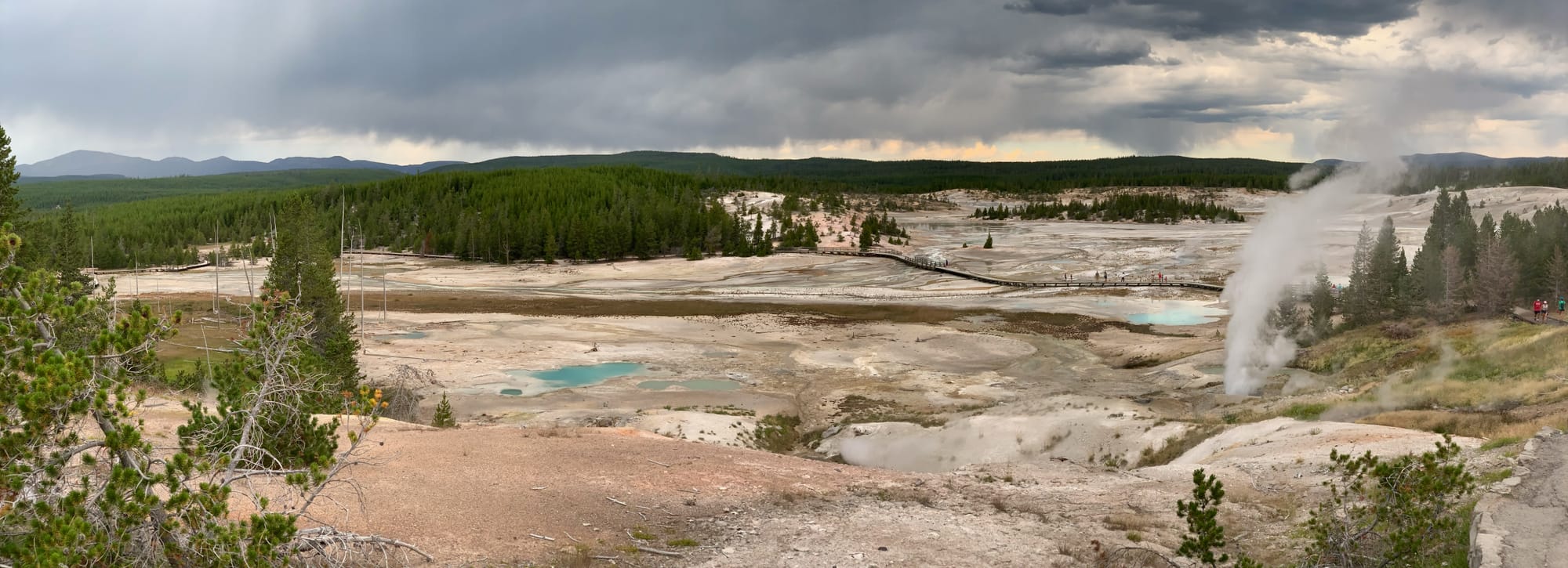  Panoramic view of Yellowstone National Park's geothermal features with steaming vents, barren land, and a forested background under a cloudy sky.