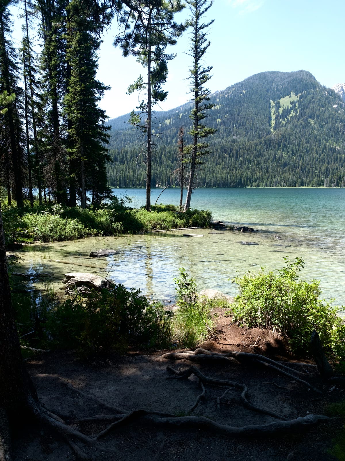 Travel Tips for Visiting Grand Teton National Park