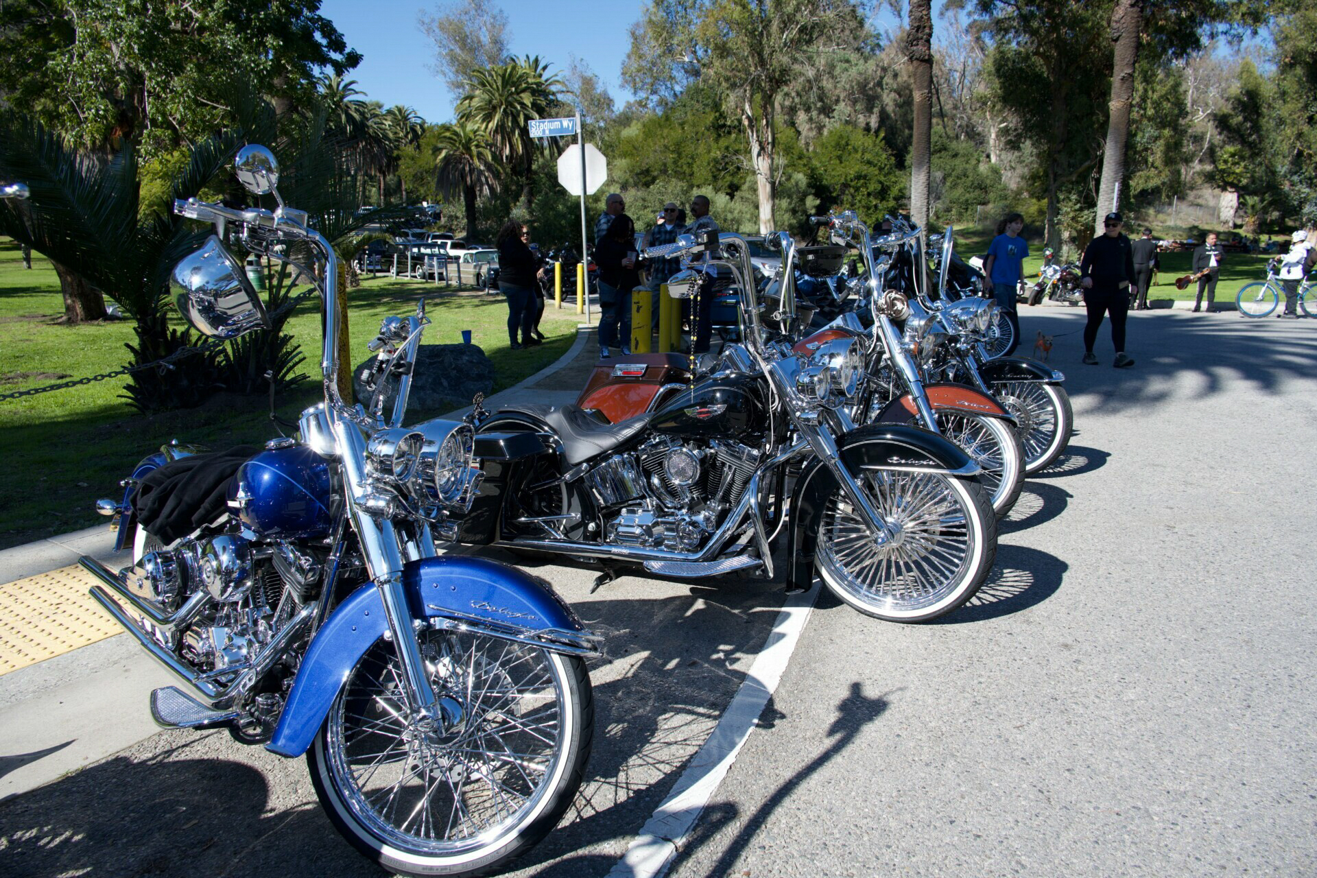 Las motocicletas clásicas brillan en medio de la espléndida naturaleza del Parque Elysian.