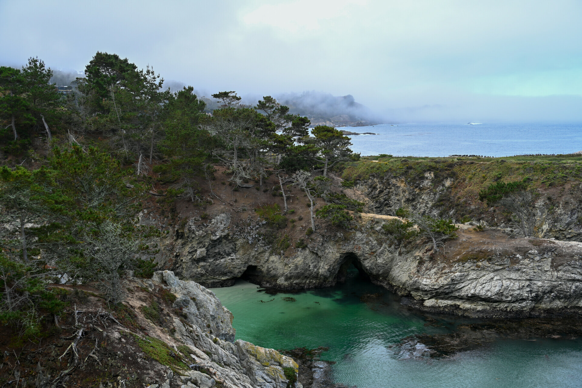 La cala secreta de McWay Falls: La belleza intacta del Parque Estatal Julia Pfeiffer Burns