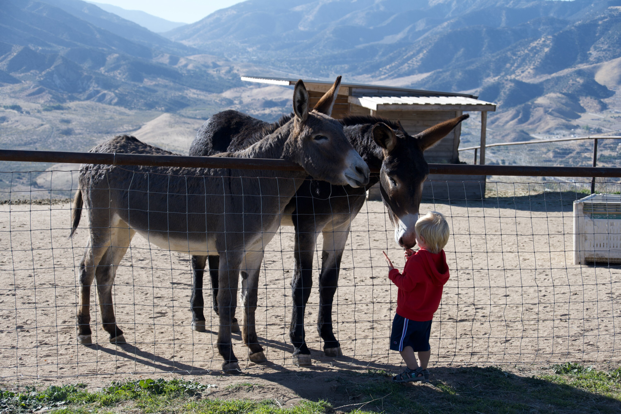 Escapada familiar de fin de semana de Los Ángeles a Lone Juniper Ranch con un niño pequeño.