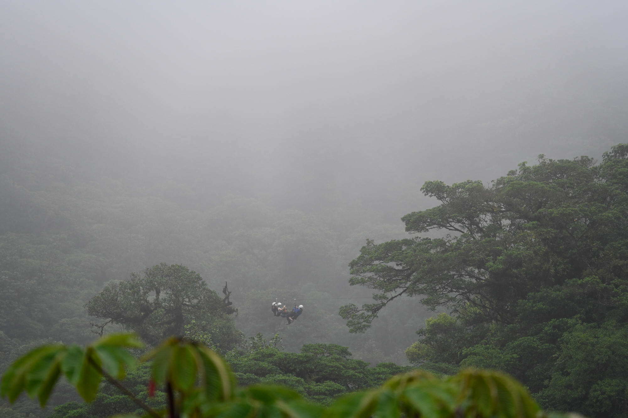 Two adventurers zip-lining over the lush green canopy of Monteverde Cloud Forest Reserve, enveloped by dense mist.