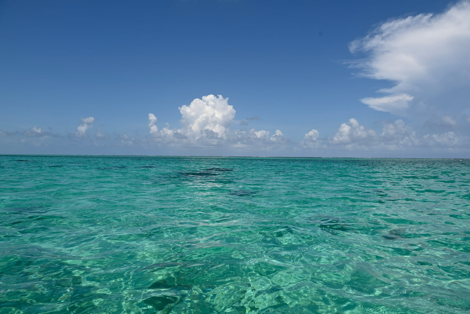 Clear turquoise waters of the Belize Barrier Reef under a blue sky with scattered clouds.