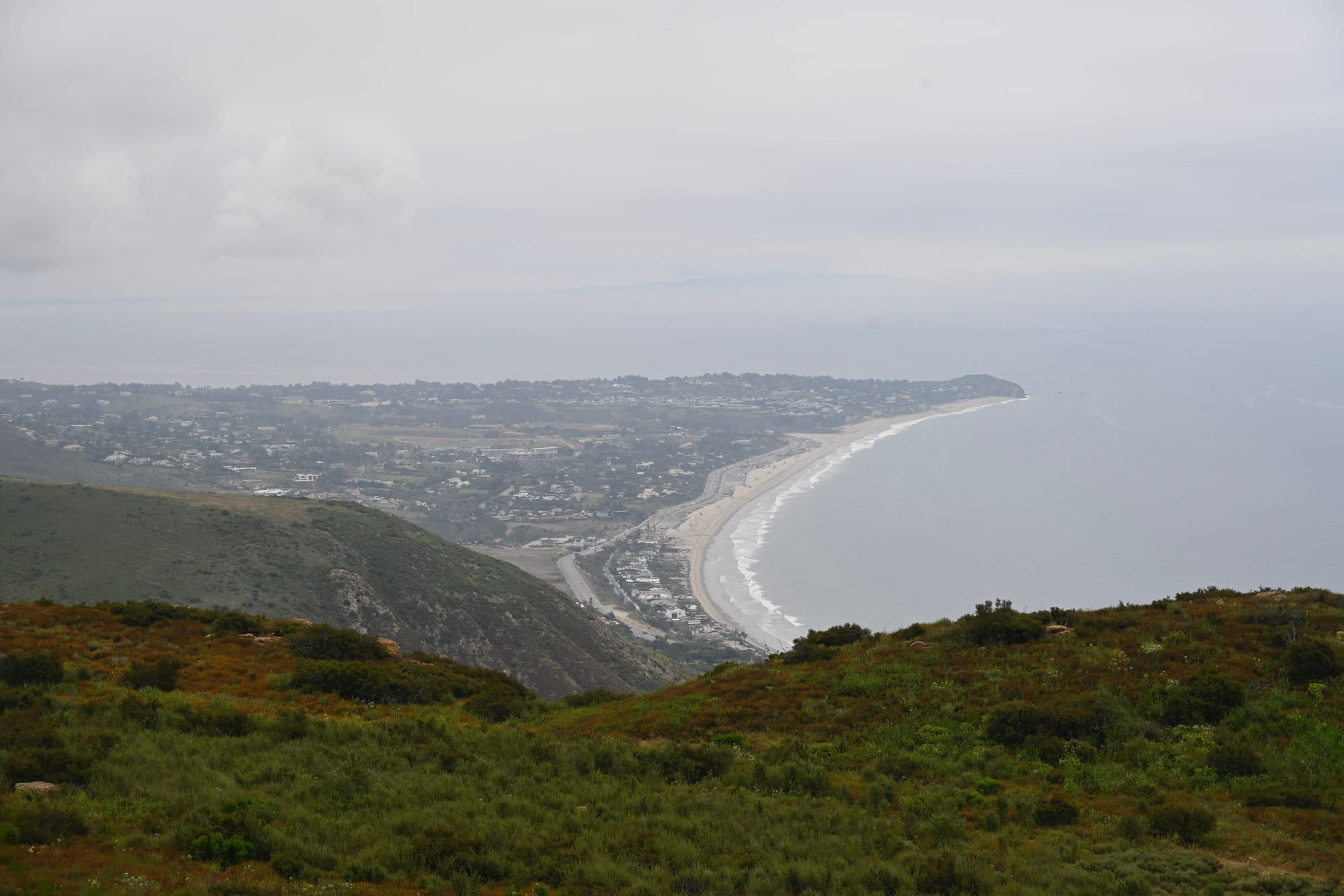 Scenic view from Charmlee Wilderness Park in Malibu, showing a blooming trail with ocean vistas.