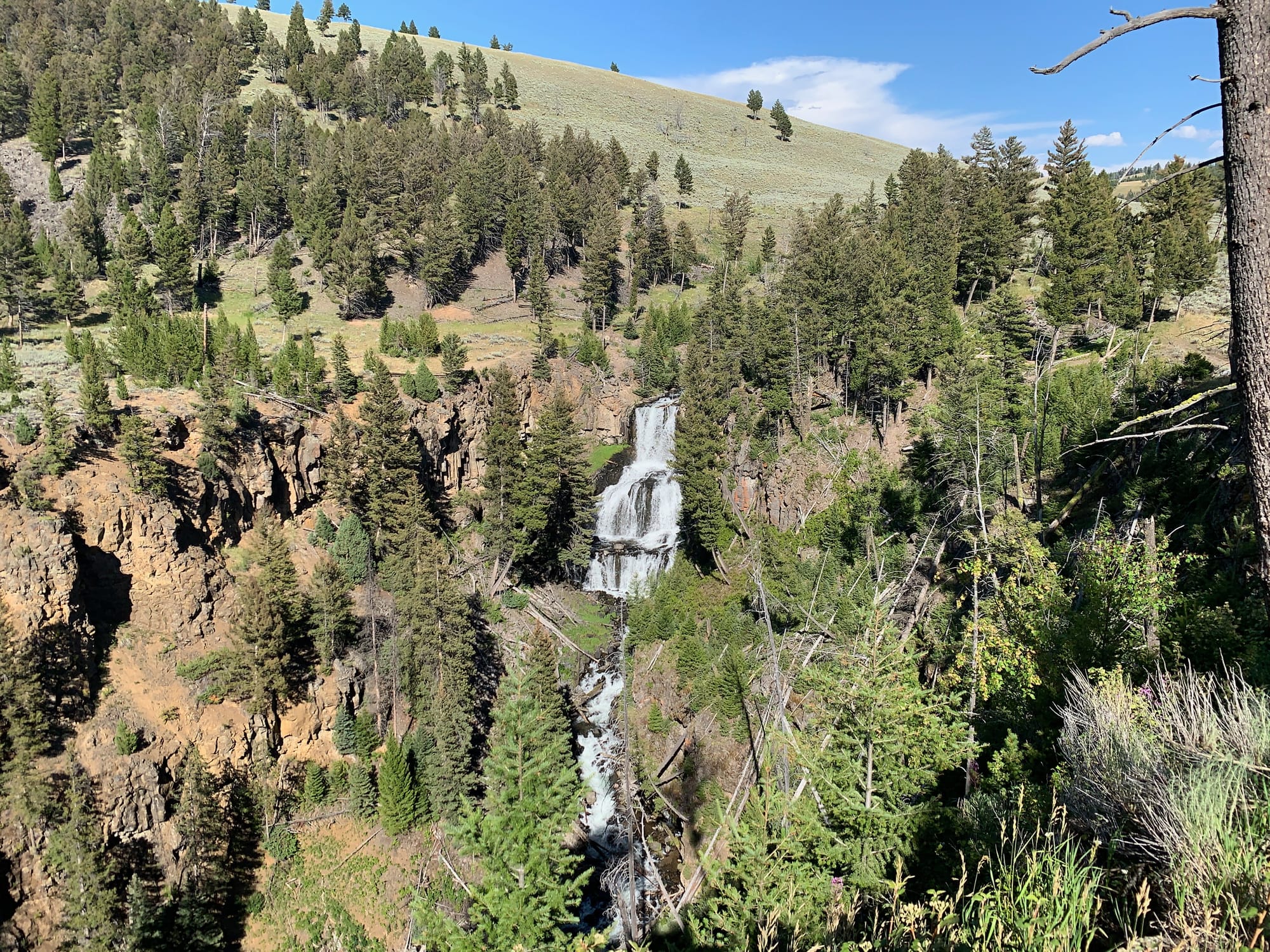 Undine Falls cascading through a forested canyon in Yellowstone National Park.