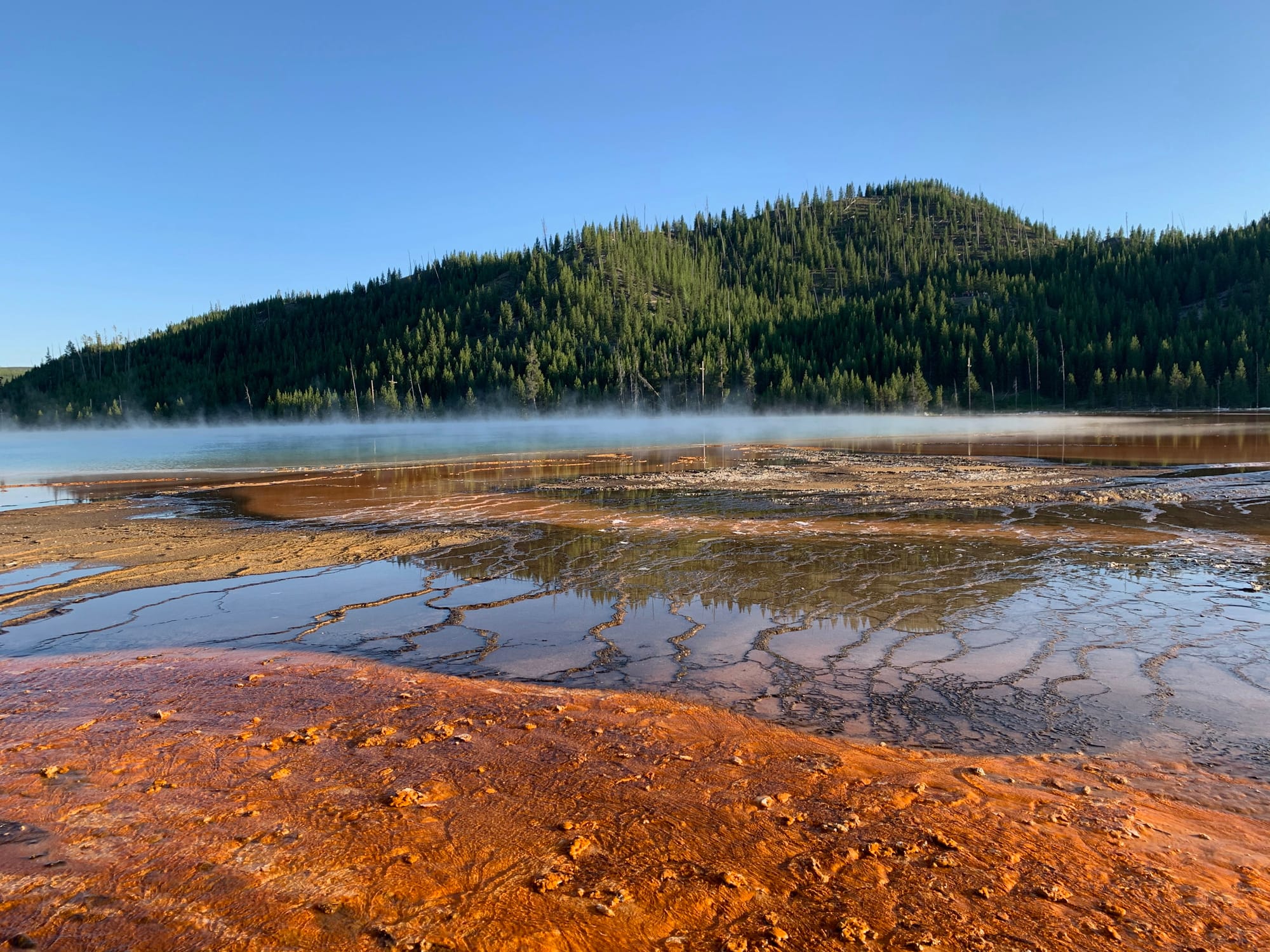 Close-up of Yellowstone's Grand Prismatic Spring with vivid colors, morning mist, and green hills in the background.