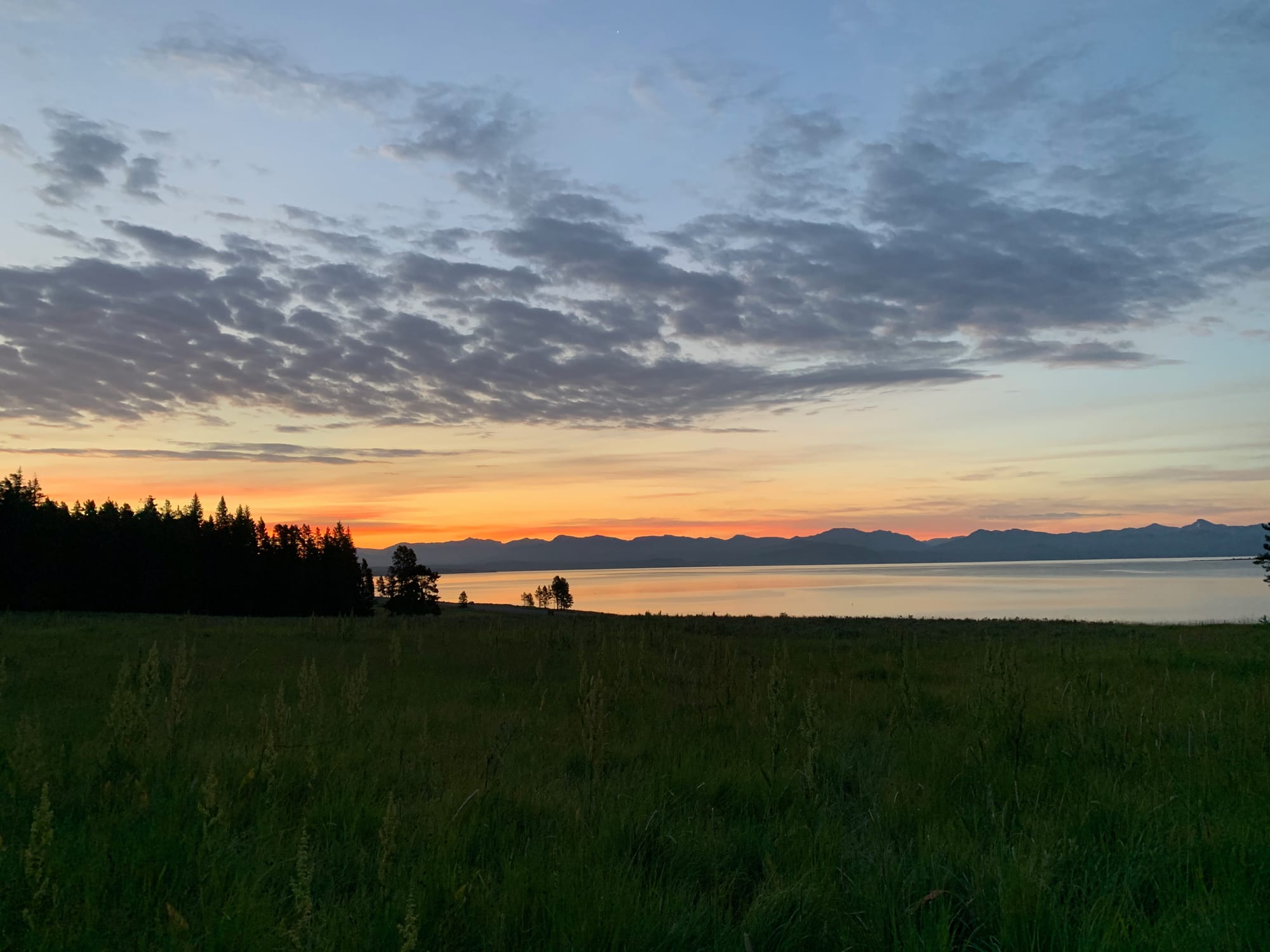 Sunset over a grassy meadow with a pond reflecting the sky, surrounded by a forest and distant hills.