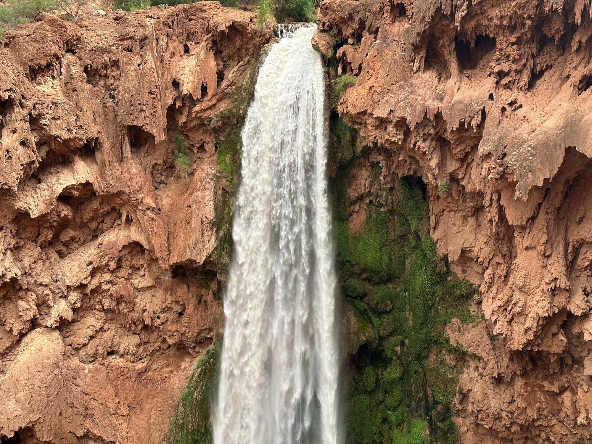 A close-up of a waterfall cascading from red cliffs with green moss growing along the edges at Havasu Falls, Arizona.