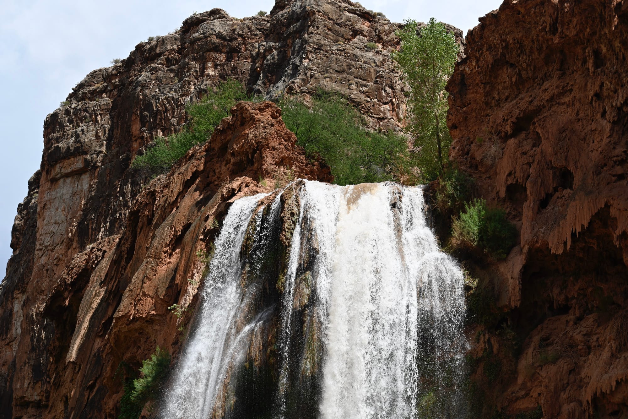 Close-up view of Havasu Falls, showing water flowing down rocky red cliffs, surrounded by desert vegetation.