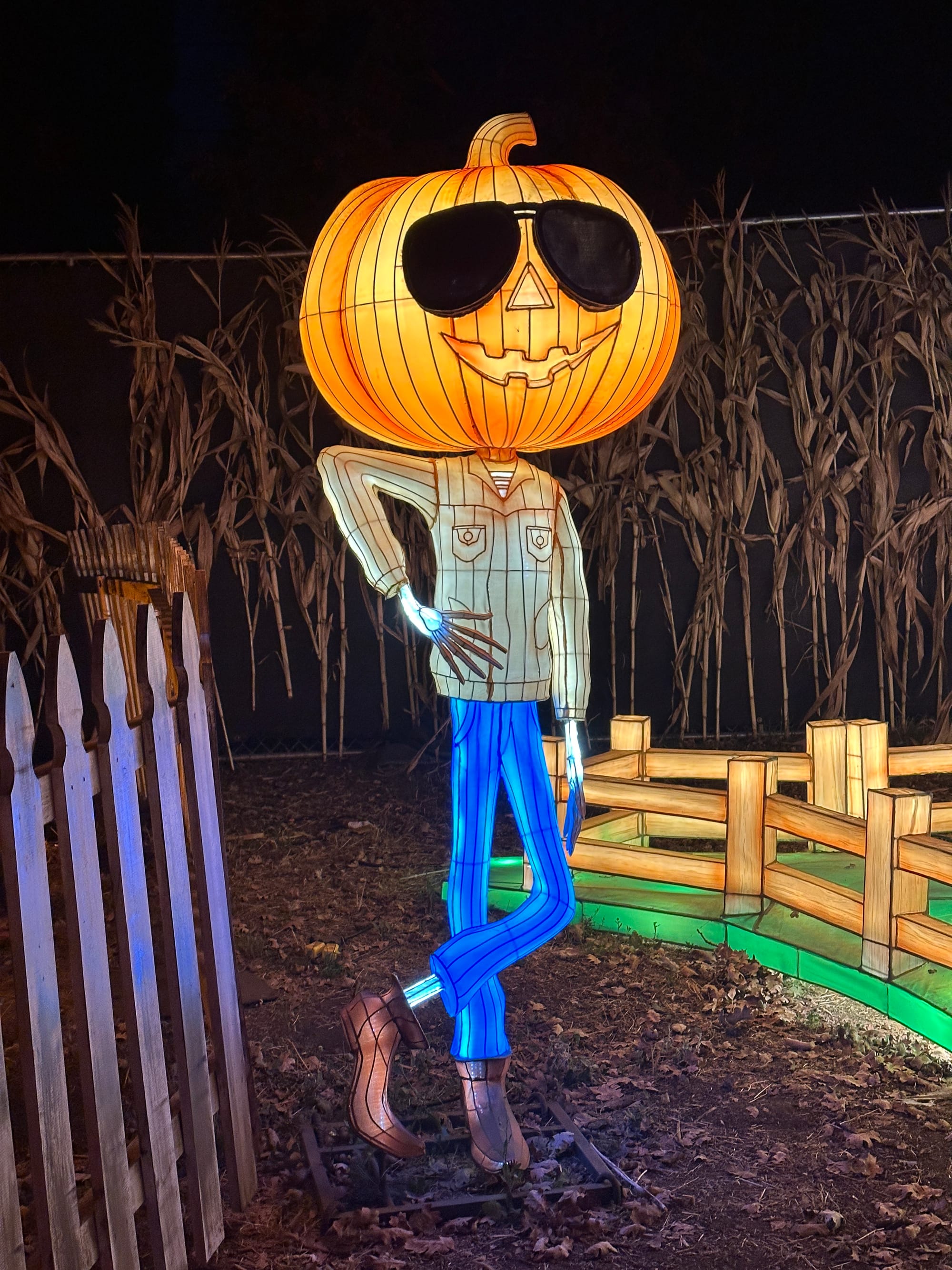 lluminated pumpkin figure wearing sunglasses and posing casually at Nights of the Jack in Calabasas.