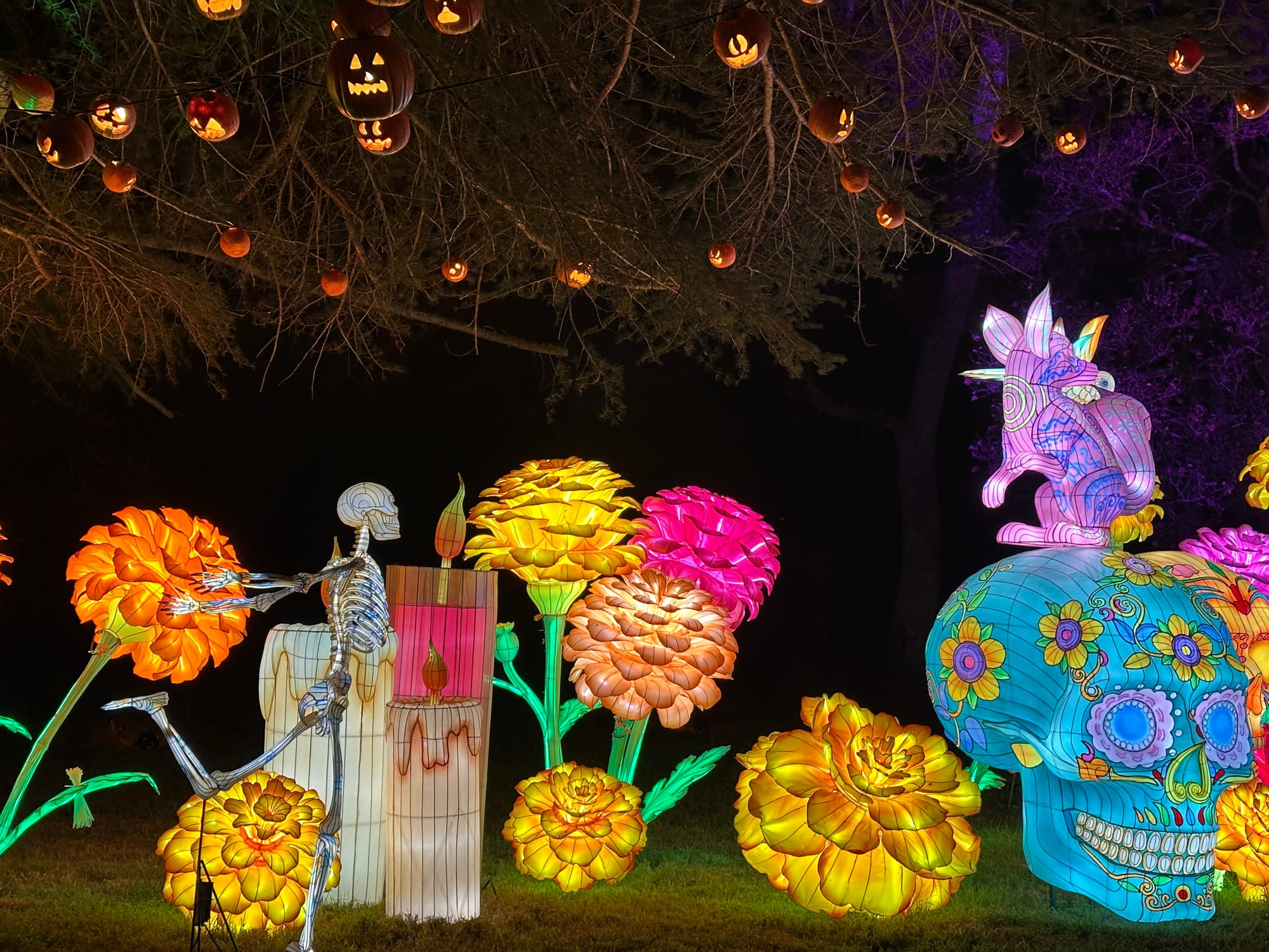 Día de Los Muertos display at Nights of the Jack with glowing skeletons, marigold flowers, and a decorative skull