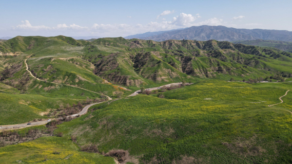 Aerial photograph of the lush, undulating landscape of Chino Hills, California, captured by DJI Mavic Air 2.