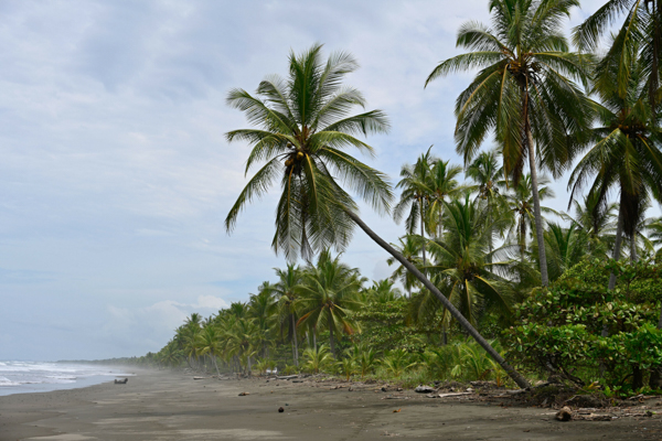 Unveiling the Charm of Palo Seco Beach: A Photographic Journey