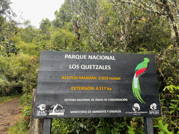 Visiting Los Quetzales National Park: A Comprehensive Guide