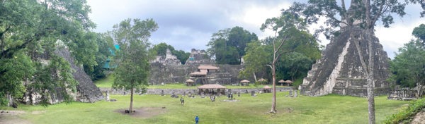 Panoramic view of the ancient Mayan ruins at Tikal National Park, showcasing towering stone pyramids and lush greenery.