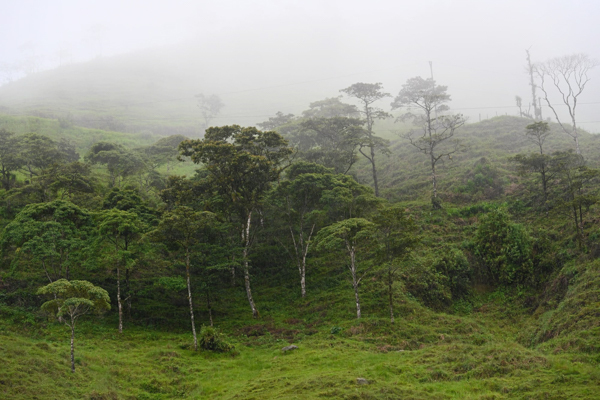 Misty landscape with green hills and cloud-covered forests in Costa Rica during the rainy season.