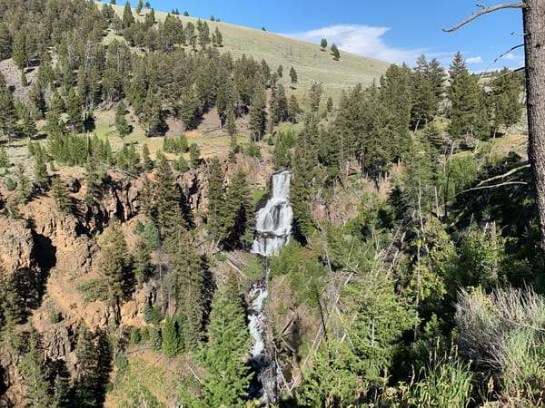 Undine Falls cascading through a forested canyon in Yellowstone National Park.