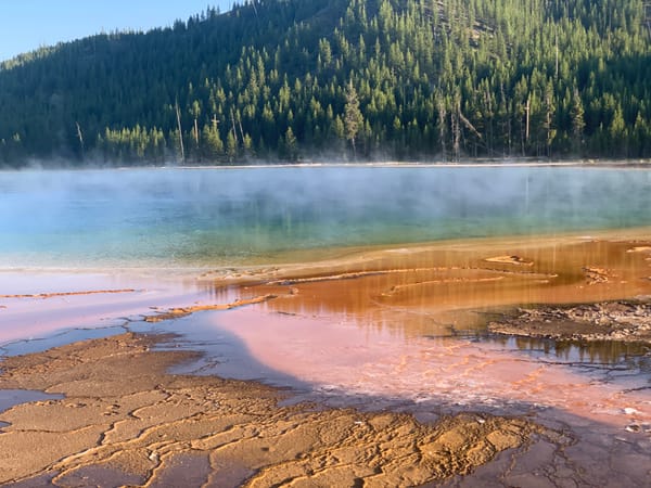 A colorful geothermal hot spring in Yellowstone NP, displaying vibrant colors hues with steam rising above the water.